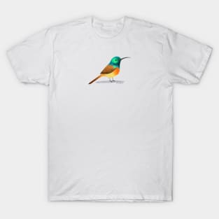 Orange Breasted Sunbird T-Shirt